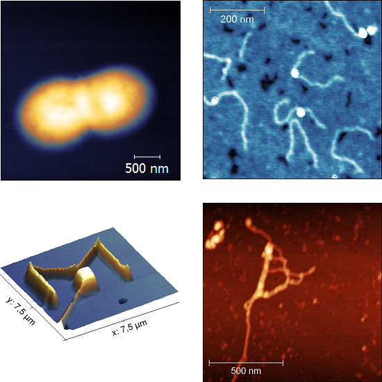 afm general images